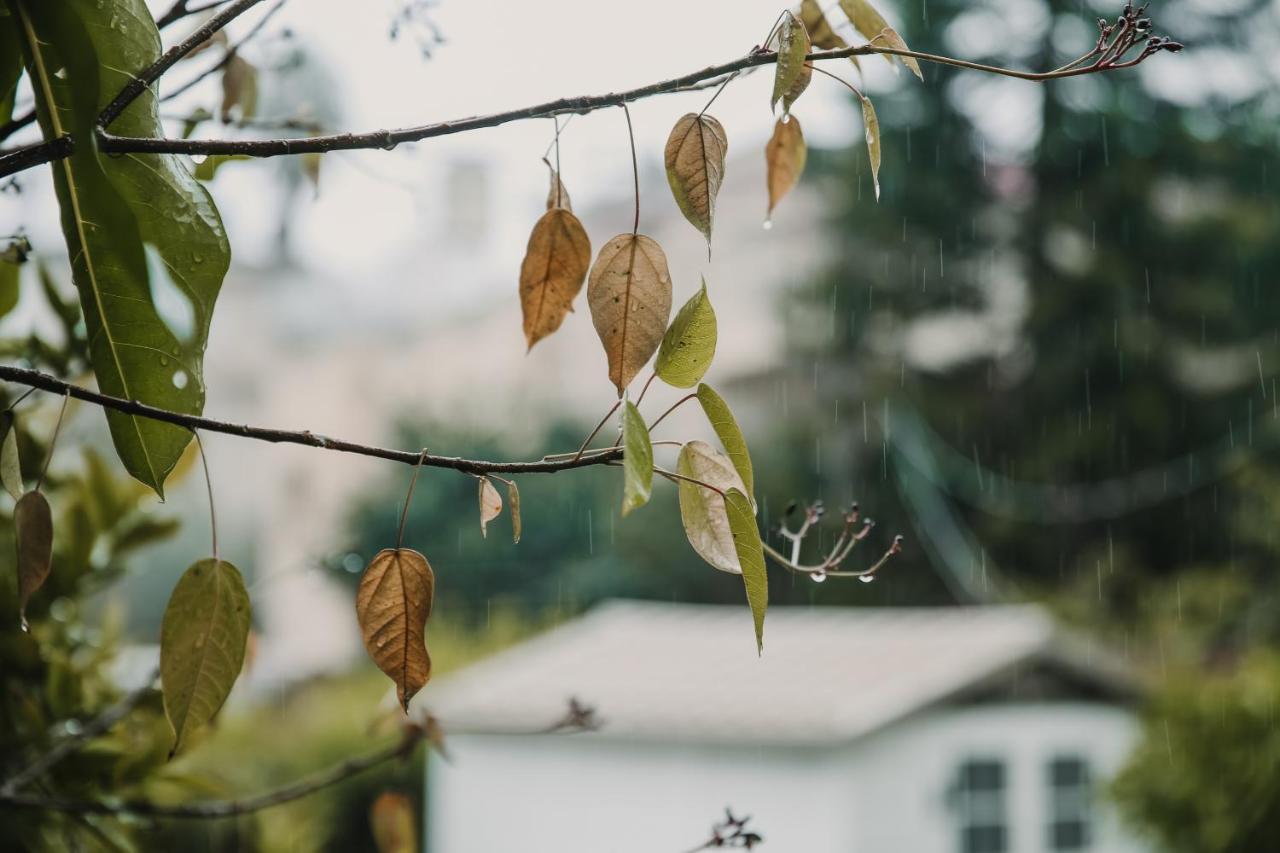 The Garden Apartment Ναζαρέτ Εξωτερικό φωτογραφία